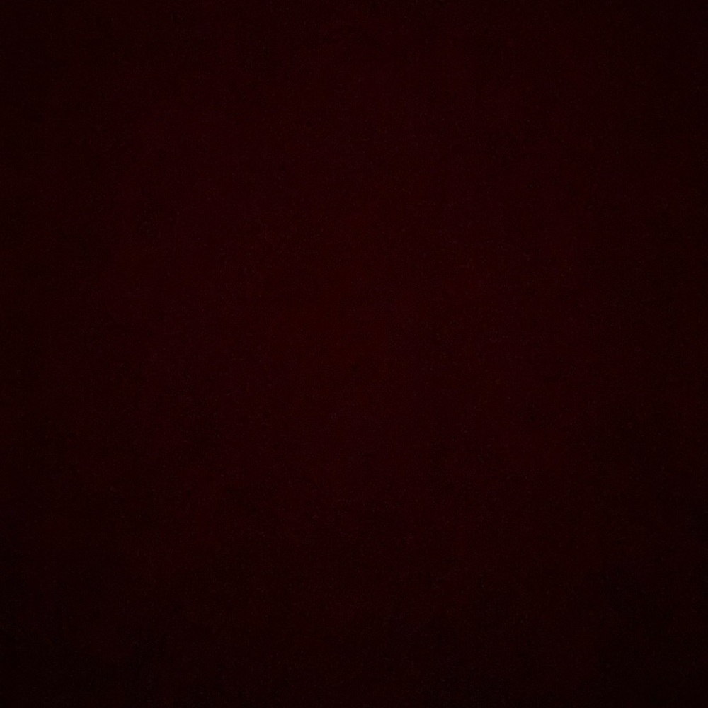 Meet your Posher, Gavin